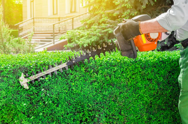 Increase Your Hedge Removal Business with an AI Driven, Targeted Website