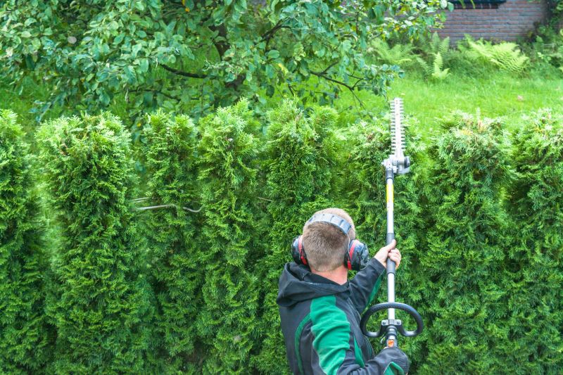 Hedge Removal