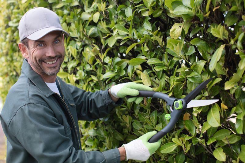 Hedge Removal