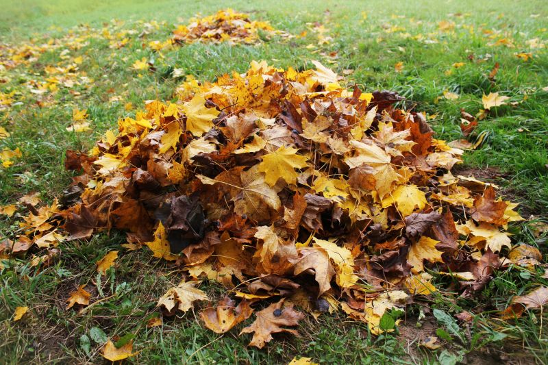 Lawn Damage from Excess Leaves