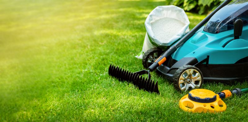 Lawn Health Maintenance