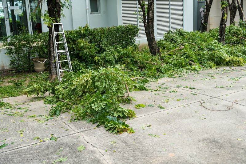Hedge Removal Process