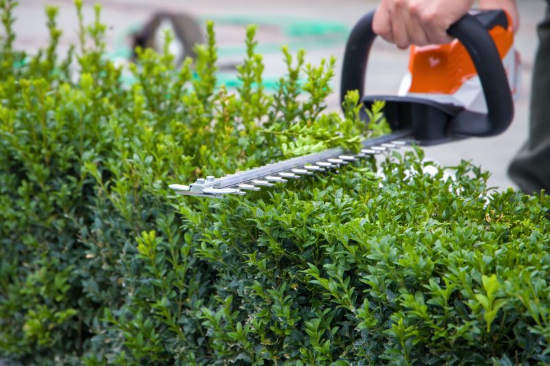 Hedge Removal Equipment