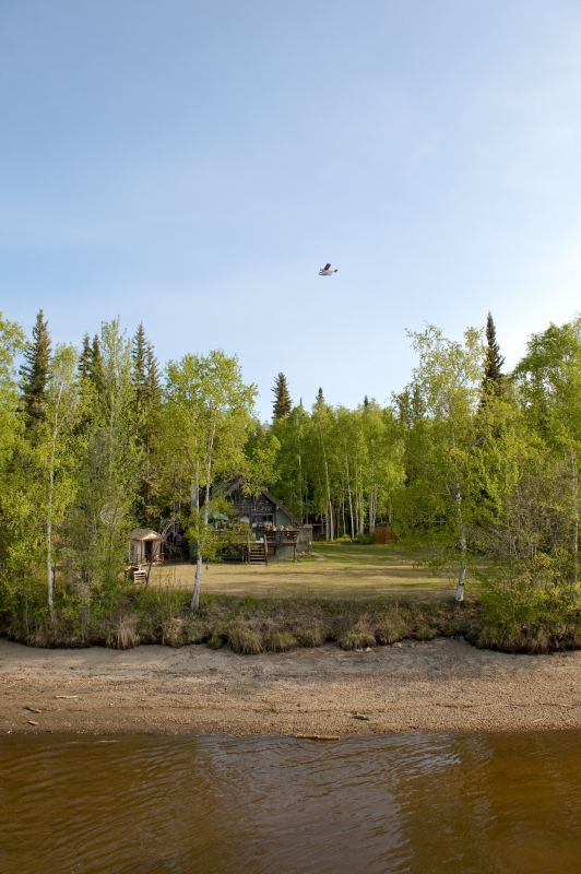 Property After Hedge Removal