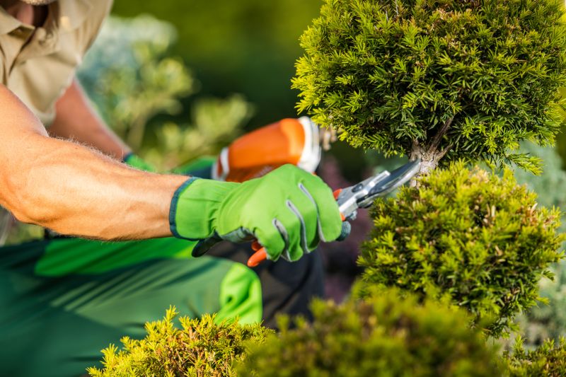 Close-up of Shrub Pruning