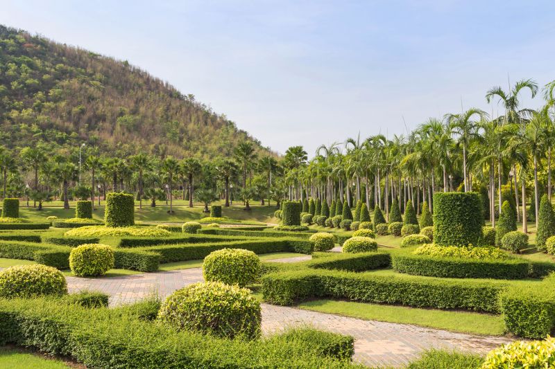 Decorative Shrub Trimming