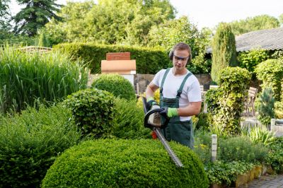 Contact About Hedge Removal